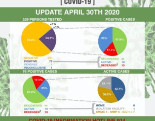 COVID-19 Pie Graphs - 30 April 2020