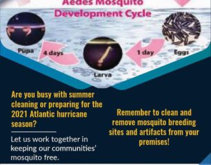 CPS-calls-on-the-Community-to-Remove-Mosquito-Breeding-Habitats-by-Cleaning-Up-Yards-and-Gardens.aspx_.jpg