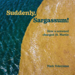 Suddenly-Sargassum