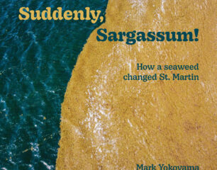 Suddenly-Sargassum