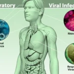 viral-infections-s6-respiratory-viral-infections