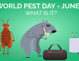 World-Pest-Day-Graphic-FEAT