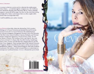 full cover_CREVICES_isbn 9798985040142