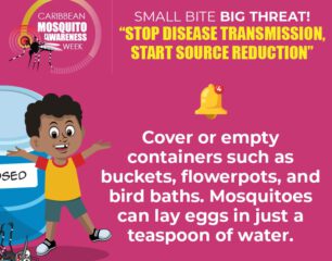 Mosquito Awareness Card1