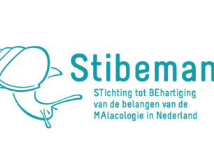 Stibeman SF