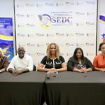 SEDC20PC201-01.jpg