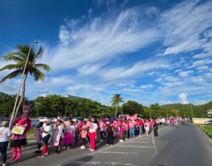 Pink Parade 1