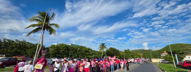 Pink Parade 1